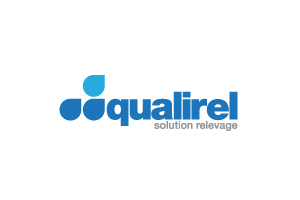 Проект: логотип Qualirel