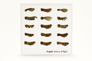 CD/LP обложка Fragile